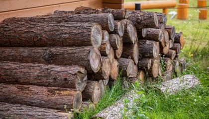注文住宅に使用される木材の種類